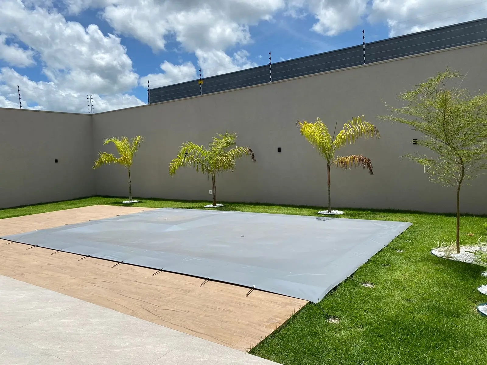 fortal robusta cinza